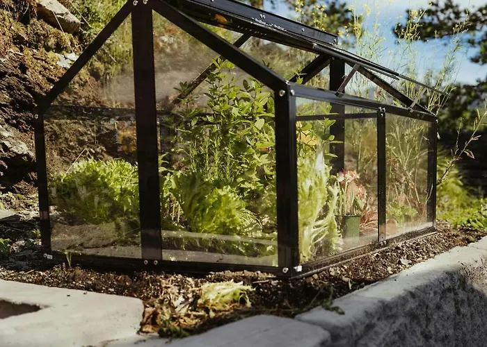 Semesterbostad Architect-designed Near Hardangerfjord *